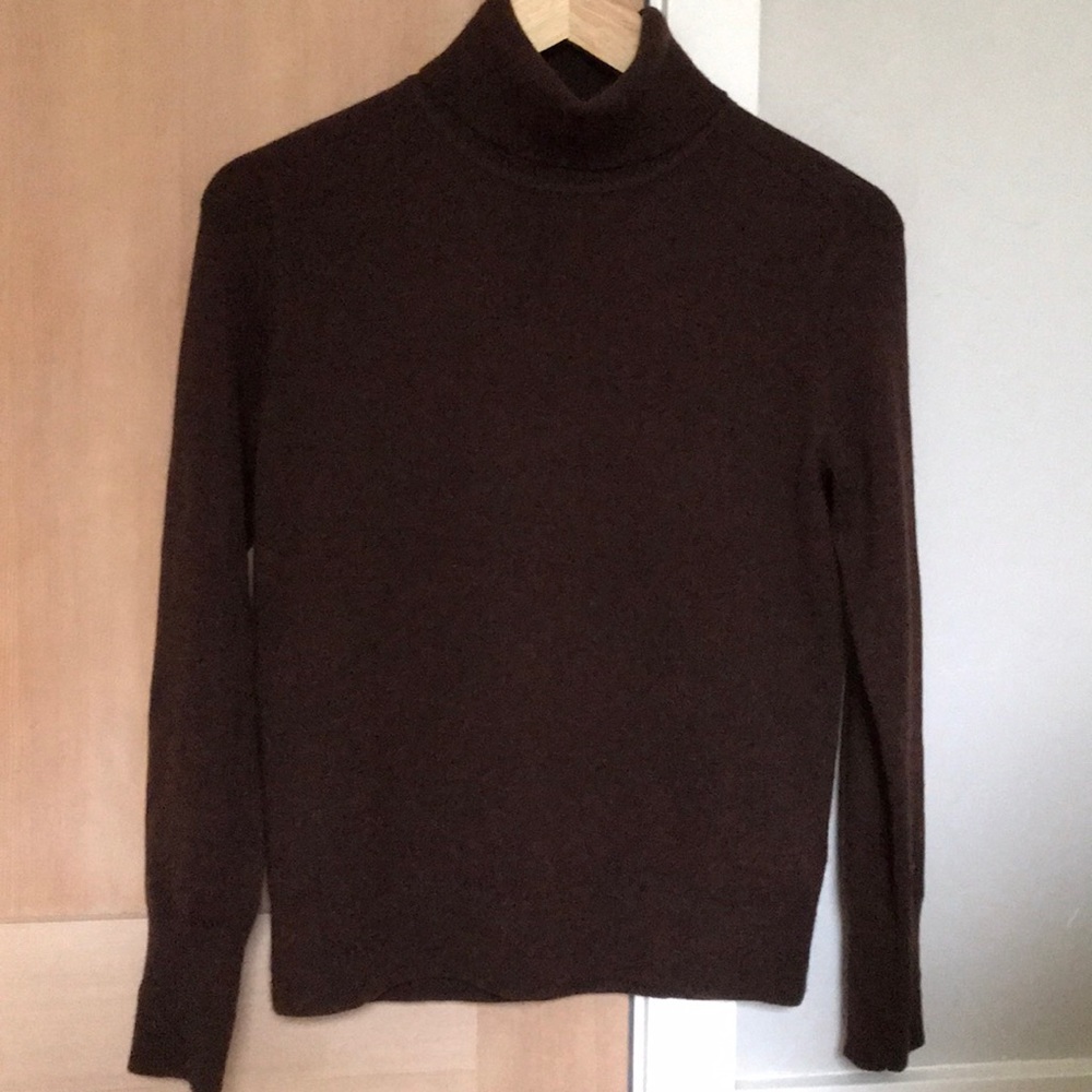 Everlane Cashmere Turtleneck